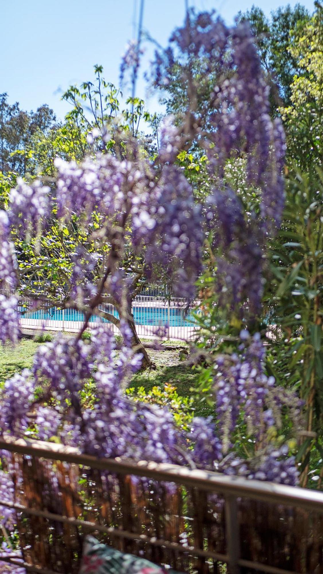 Апартаменты Casa Laura -Parking - Pool Сен-Тропе Экстерьер фото